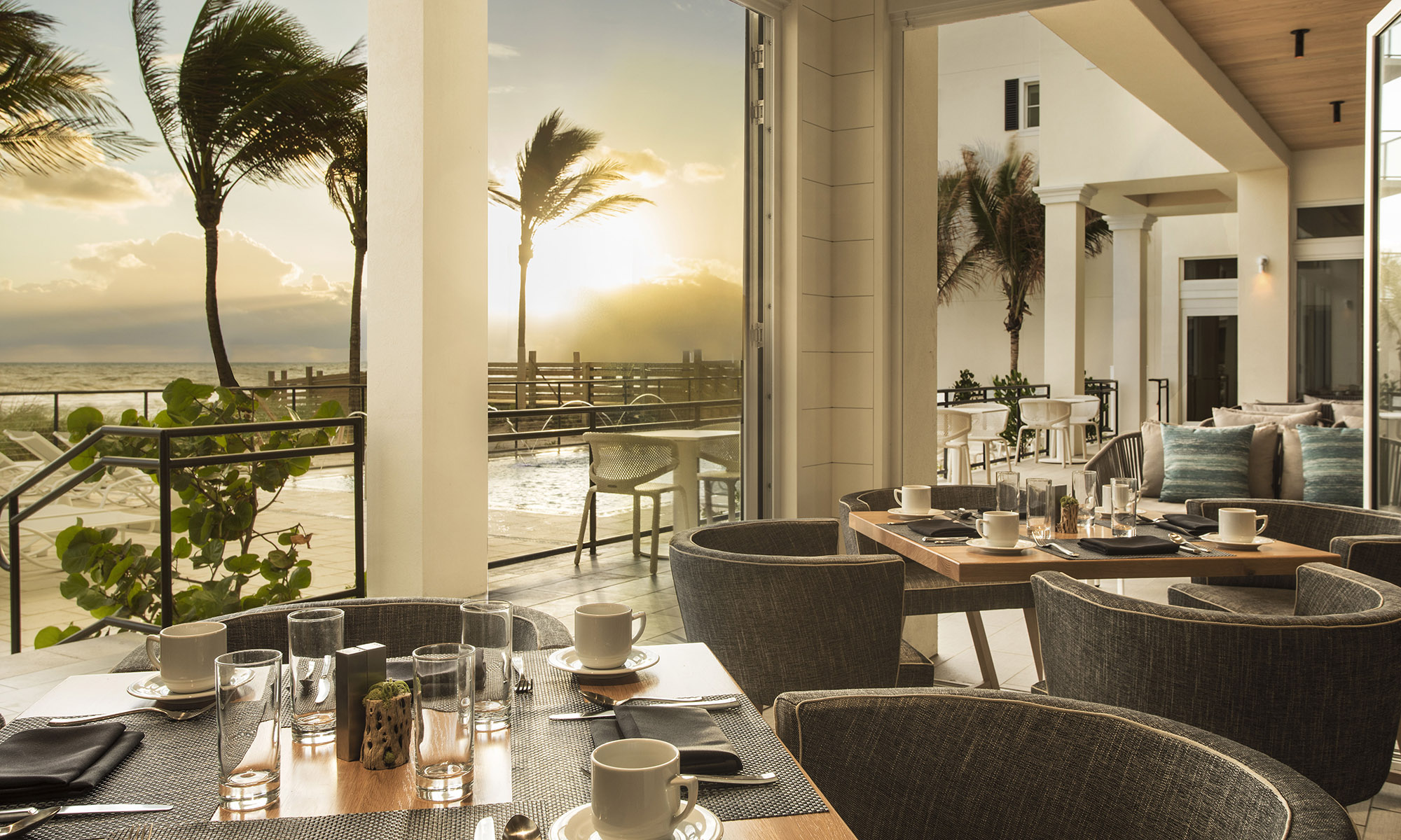 კონტაქტი