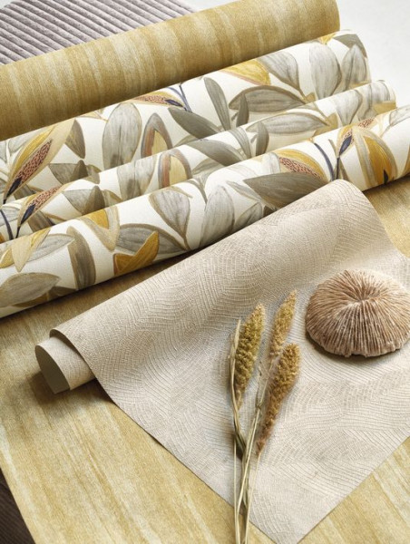 ახალი პარტნიორი - CASADECO