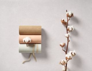 ახალი პარტნიორი - CASADECO